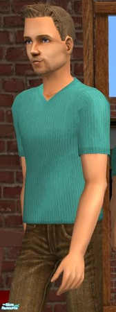 Sims 2 — NK Teal V-Neck Shirt by MoMama — Although this is a plain shirt, it has possibilities. It wouldn't look out of