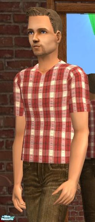 Sims 2 — NK Red and White Plaid V-Neck Shirt by MoMama — Another V-Neck shirt appropriate for red necks or hard workers. 