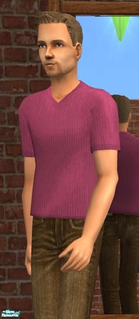 Sims 2 — NK Mauve V-Neck Shirt by MoMama — A plain V-neck shirt of a questionnable purple.