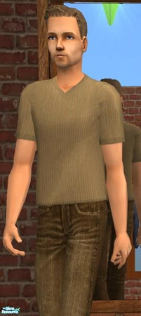 Sims 2 — NK Brown V-Neck Shirt by MoMama — A brown shirt with no logo, no adds, nothing. Plain, simple, clean.