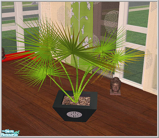 Sims 2 — moden asia - B43 Asia Palm Mesh by Birgit43 — 