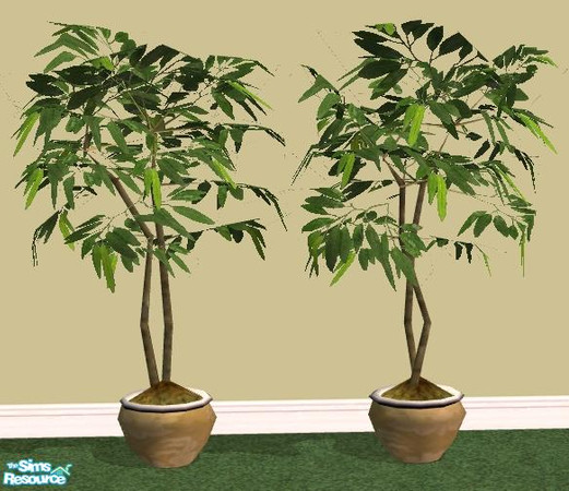 Sims 2 — NK Pine Bedroom - Fig Tree by MoMama — A fig tree will set your bedroom apart. And the leaves won't fall on the