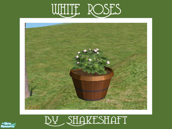 Sims 2 — White Roses by Shakeshaft — Part of a set of garden tubs filled with roses to decorate your patios and gardens,