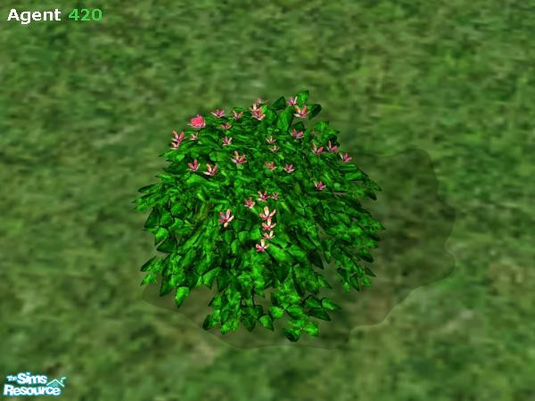 Sims 2 — Multicolored Pink , Super Green Shamrock by Agent420 — This Multicolored Pink Shamrock has nice flowers, and a