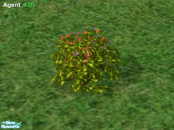 Sims 2 — Pink and Purple Shamrock by Agent420 — This Pink and Purple Shamrock has nice yellowish green leaves. MESH by