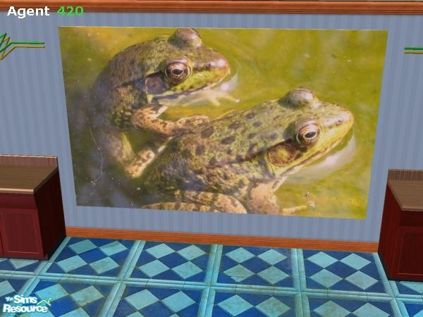 Sims 2 — 2 Frogs in a Pond by Agent420 — This is a real picture of 2 frogs in a pond. Looks great in game. Large