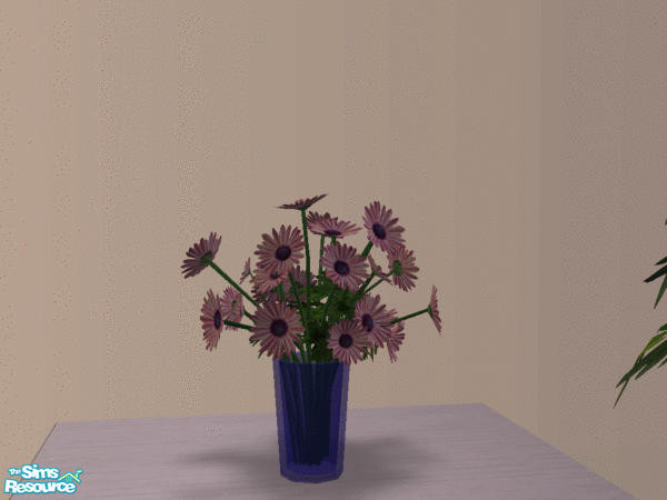 Sims 2 — African Daisies for Floral Workstation by wimpy1968 — More varieties for your florist shop.