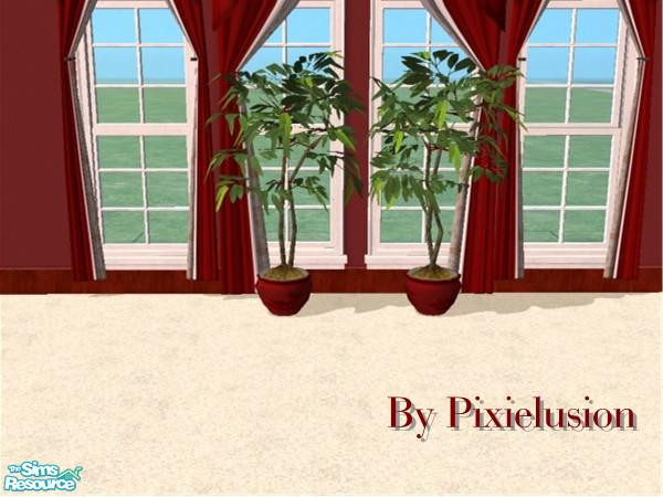 Sims 2 — Scarlett fig tree by pixielusion — Part of the Scarlett simplicity set