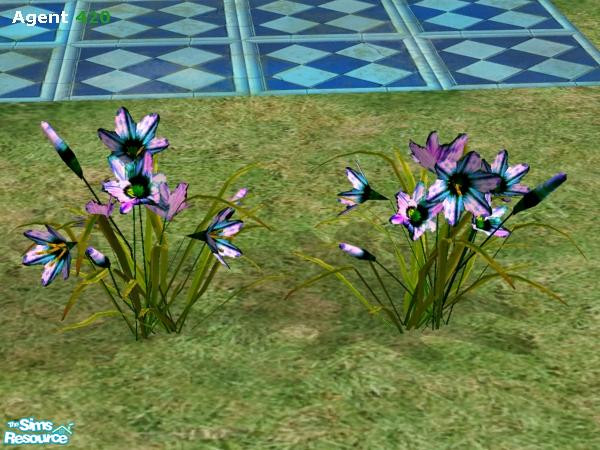 Sims 2 — Bioengineered Multicolored Super Lily by Agent420 — Great Flowers in all sorts of colors. Realistic looking, and