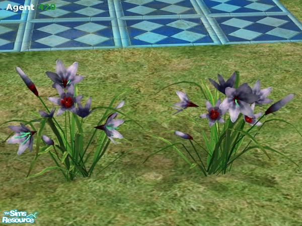 Sims 2 — Violet Blood Flowers by Agent420 — Great Flowers in all sorts of colors. Realistic looking, and great for flower