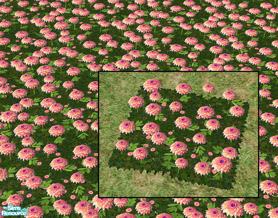 Sims 2 — Plastic Dahlias - pink  by chrissy6930 — Recolor of Plastic Dahlias in pink. Requires that file to work. Will