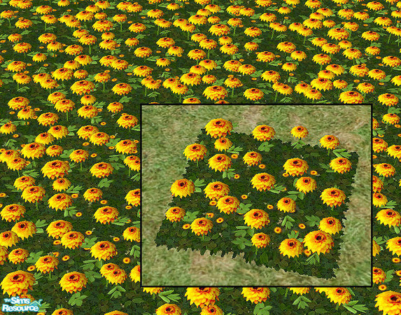 Sims 2 — Plastic Dahlias - yellow  by chrissy6930 — Recolor of Plastic Dahlias in yellow. Requires that file to work.