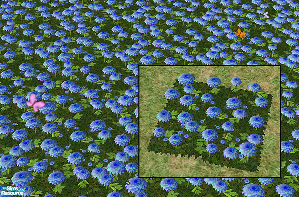 Sims 2 — Dahlias - turquoise  by chrissy6930 — Recolor of Dahlias in turquoise. Requires that file to work. Will also