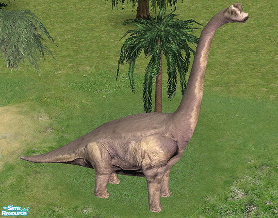 Sims 2 — Jurassica - Brachiosaurus by Bitzybus — Dinosaur: Brachiosaurus Catalog placement: buymode/decorative/misc