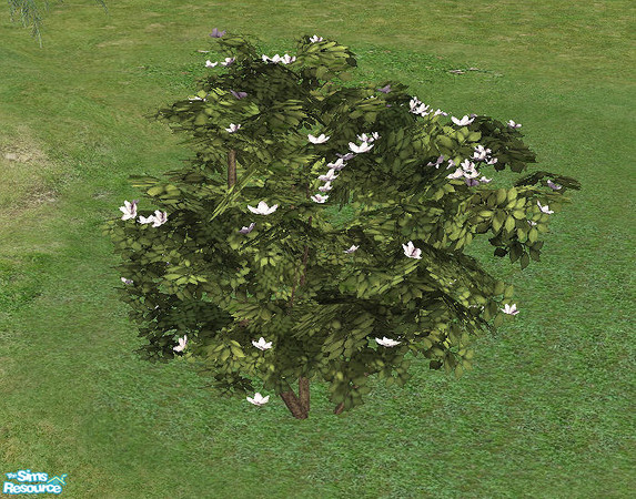Sims 2 — Jurassica - Big Hibiscus Shrub by Bitzybus — Big shrub, no trimming needed. Uses all the hibiscus tree colors.