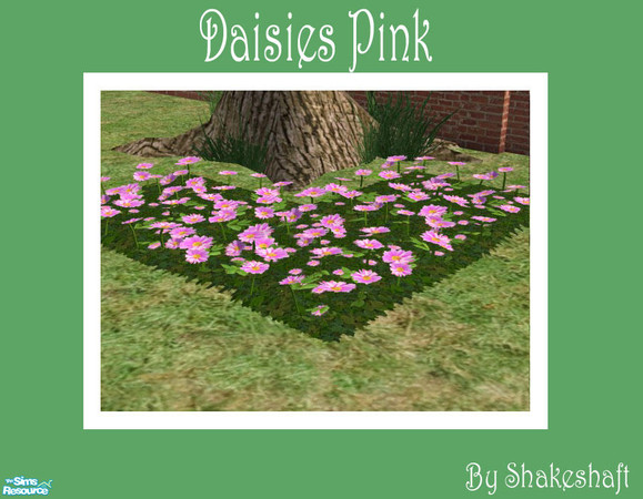 Sims 2 — Daisies Pink by Shakeshaft — Part of a spring time set for the patio, assorted outdoor furniture in a maize
