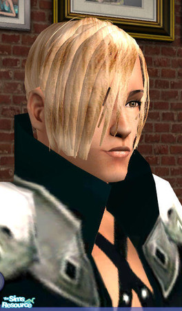 Sims 2 — Mesh Hair V2 for Men by Shannara_Simfashion — my second Hair Mesh for Males,hope you'll like it.