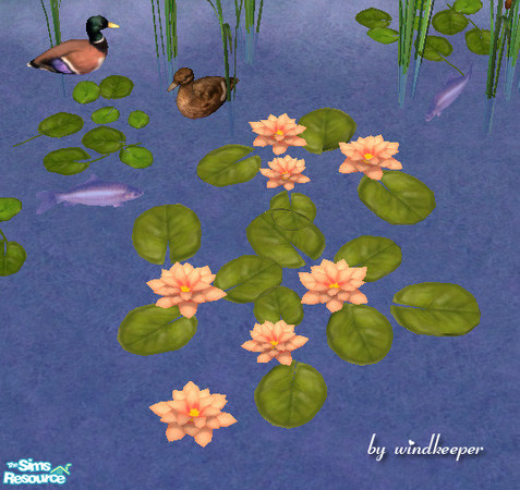 Sims 2 — Large water lily - pink by Windkeeper — Recolor of "Large water lily" from this set. Requires that