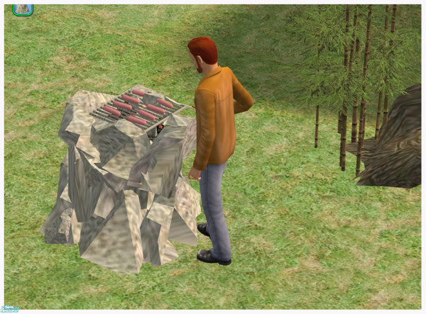 Sims 2 — Private Park - Grill by Dgandy — Whether spending time in a National Park or want the natural beauty in your