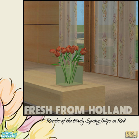 Sims 2 — Fresh From Holland, Tulips in Red by BetterbeSim — Fresh From Holland, the "Early Spring" tulips