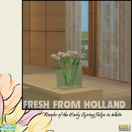 Sims 2 — Fresh From Holland, Tulips in White by BetterbeSim — Fresh From Holland, the "Early Spring" tulips