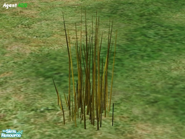 Sims 2 — Large Thick Tuft of Golden Grass by Agent420 — This large lush tuft of Golden Grass looks fantastic in the game.