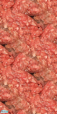Sims 2 — Disgusting Meat Wall 1 by Agent420 — This is a disgusting wall made of Raw Ground Beef. Be careful not to let it