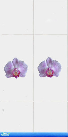 Sims 2 —  Phaleanopsis_wall tiles by anc — Beautiful orchids in your walls