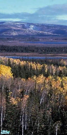 Sims 2 — Nature Mural Part 2 by NewSimSimGirl — Natural colors to sooth and comfort on those cold winter nights.