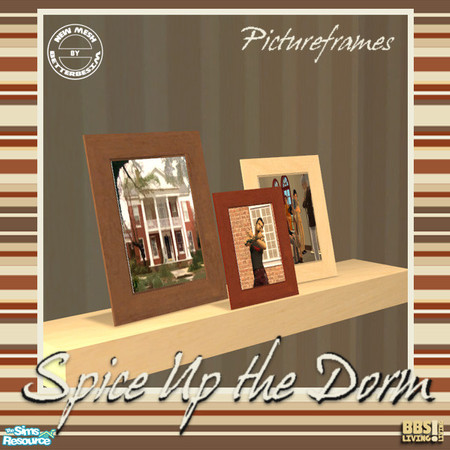 Sims 2 — Spice Up the Dorm, Photoframes by BetterbeSim — Photoframes on a console, with pictures of home. Being born with