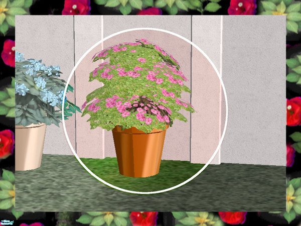 Sims 2 — Patio Shrubs-Phlox by Dgandy — Dress up your patio, deck or entry with these lush potted shrubs. If you choose