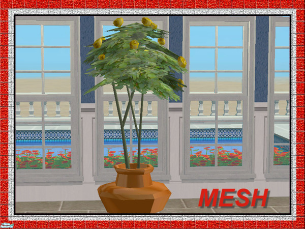 Sims 2 — Rose Tree-Yellow Roses in Clay Pot MESH by Dgandy — Add a touch of elegance with these Rose Trees. Pots and Rose