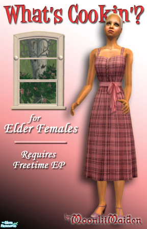Sims 2 — FT What\'s Cookin\'? Dress without Apron for FE - Red Plaid by moonlitmaiden — Tired of few decent clothes for