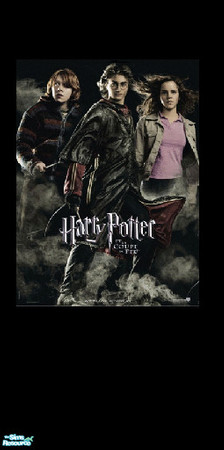 Sims 2 — Harry Potter trio by morneau_grl27 — Harry Potter trio from my Harry Potter collection