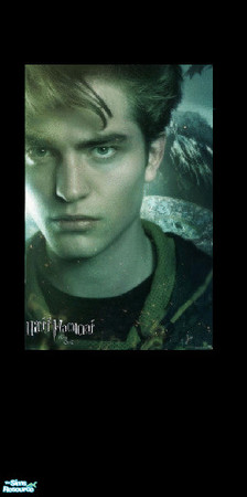 Sims 2 — Cedric by morneau_grl27 — Cedric from Harry Potter, one of the many walls I have created and will be creating