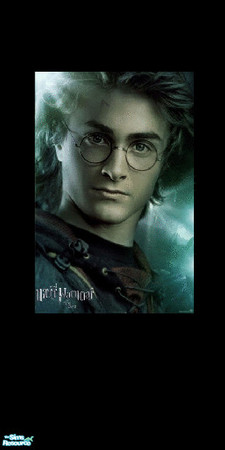 Sims 2 — Harry by morneau_grl27 — Harry from Harry Potter, one of the many walls I have created and will be creating from