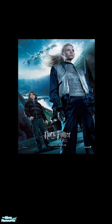 Sims 2 — Fleur and Ron by morneau_grl27 — Fleur and Ron from Harry Potter, one of the many walls I have created and will