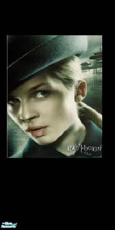 Sims 2 — Fleur by morneau_grl27 — Fleur from Harry Potter, one of the many walls I have created and will be creating from
