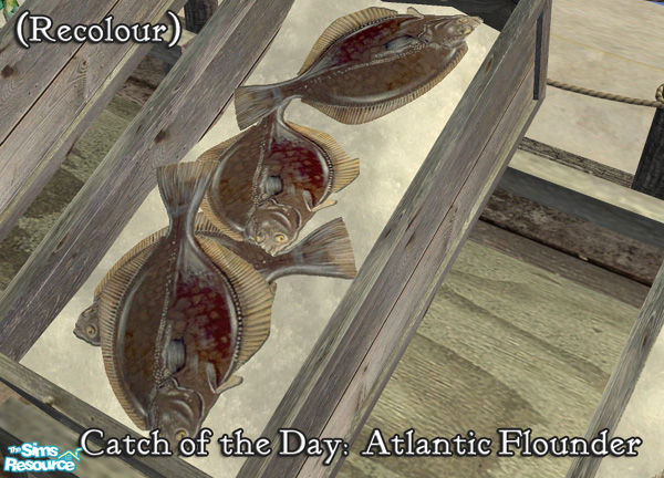 Sims 2 — Atlantic Flounder Recolour by BeOSBoxBoy — Designed for use with the Fishmonger's Display Table, will not look
