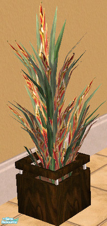 Sims 2 — Plant RC 8 - Fire Fantasy by Simaddict99 — requires my "Sohpia Large Planter" mesh, see link below.