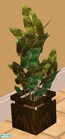 Sims 2 — Plant RC 5 - Oversized Ivy by Simaddict99 — requires my "Sohpia Large Planter" mesh, see link below.