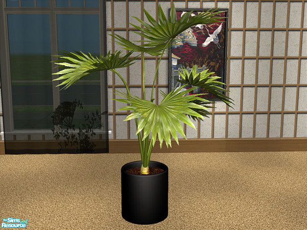 Sims 2 — DS Dining 1 - Plant by detimgi — Recolor of the oasi plant mesh by norbi n