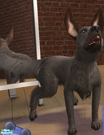 Sims 2 — Donkey-Doggy by architrom — Slight alteration of the All-Hearing Thing. Inspired by Droople ^^