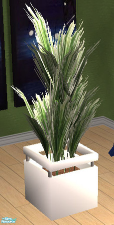 Sims 2 — WB Sophia Plant RC1 by Simaddict99 — this will recolor both plants. mesh required, see link below to large