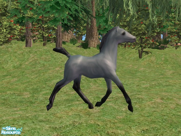 Sims 2 — Breyer inspired Foals Recolor Gray by Suiryuue — Recolor. Foal object was inspired by a Breyer model. Can be
