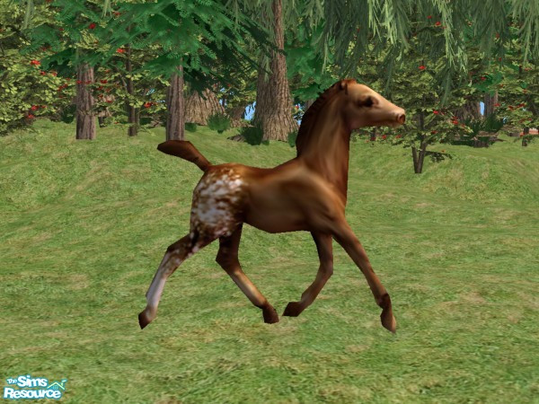 Sims 2 — Breyer inspired Foals Recolor Brown Spot by Suiryuue — Recolor. Foal object was inspired by a Breyer model. Can