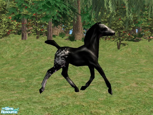Sims 2 — Breyer inspired Foals Recolor Black by Suiryuue — Recolor. Foal object was inspired by a Breyer model. Can be