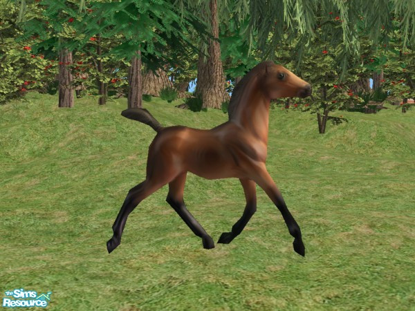 Sims 2 — Breyer inspired Foals Recolor Black Sock by Suiryuue — Recolor. Foal object was inspired by a Breyer model. Can