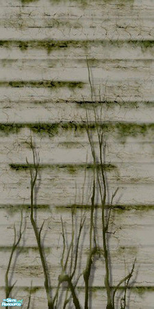 Sims 2 — Grungy Siding with branches by VonNdaSun — Well-versed do-it yourselfers know there will be many steps involved