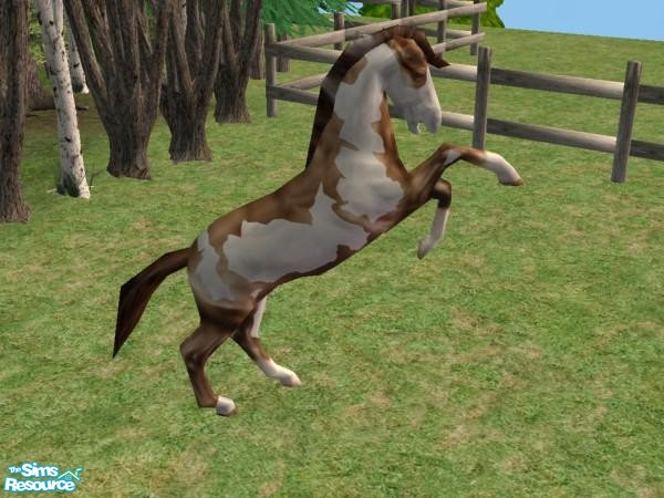 Sims 2 — Rearing Stallion Pinto Recolor by Suiryuue — Rearing Stallion recolor. The stallion works with or without any